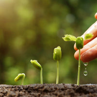 AGRICULTURE